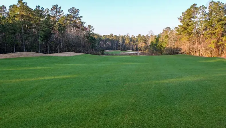 Diamondback Golf Club Photo