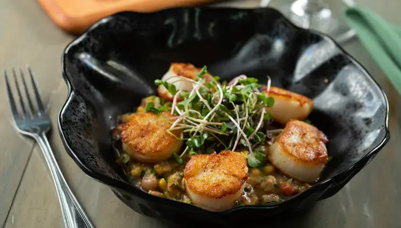 Seared scallops with microgreens on black plate, gourmet seafood dining experience with fine presentation.
