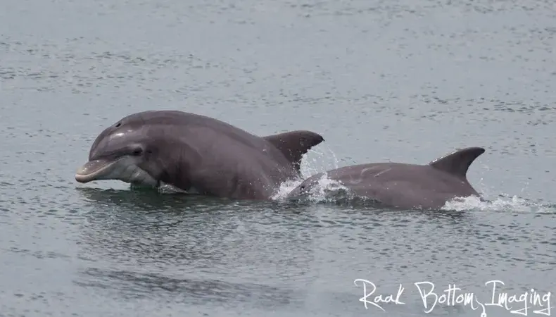 Express Watersports Photo