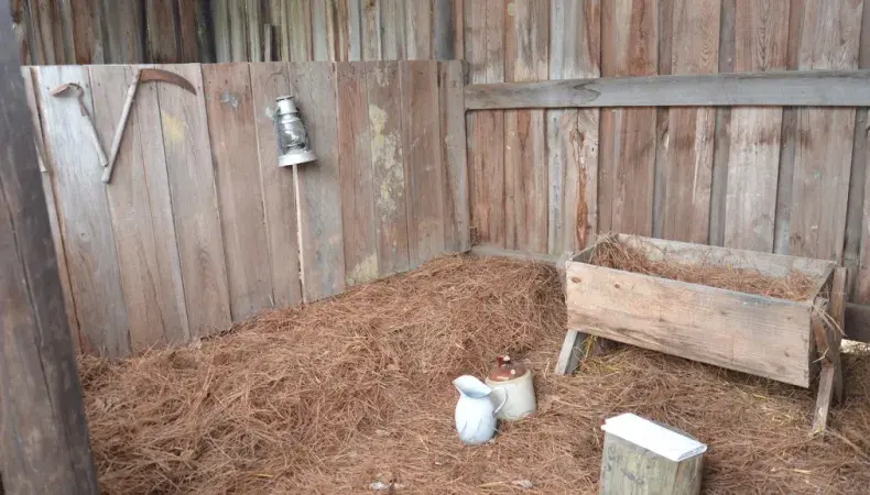 Freewoods Farm Photo 4