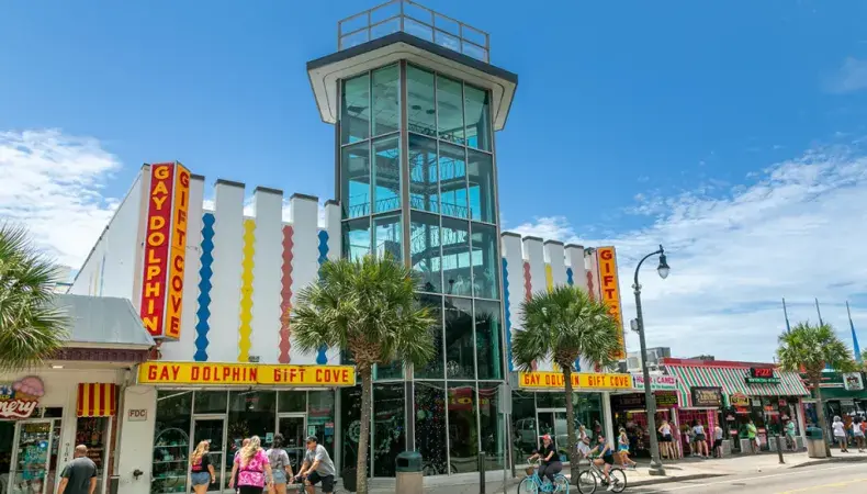 Gay Dolphin Gift Cove Photo