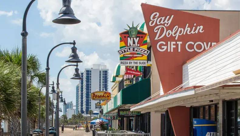 Gay Dolphin Gift Cove Photo 2