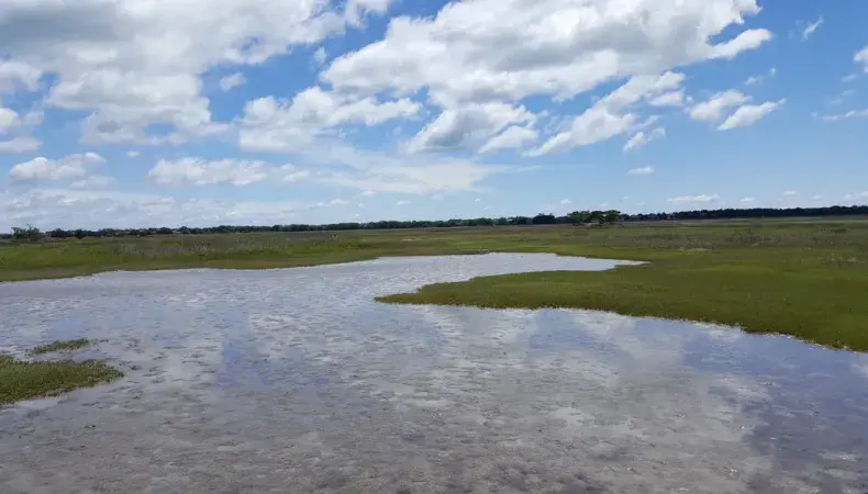 Hobcaw Barony Photo 2