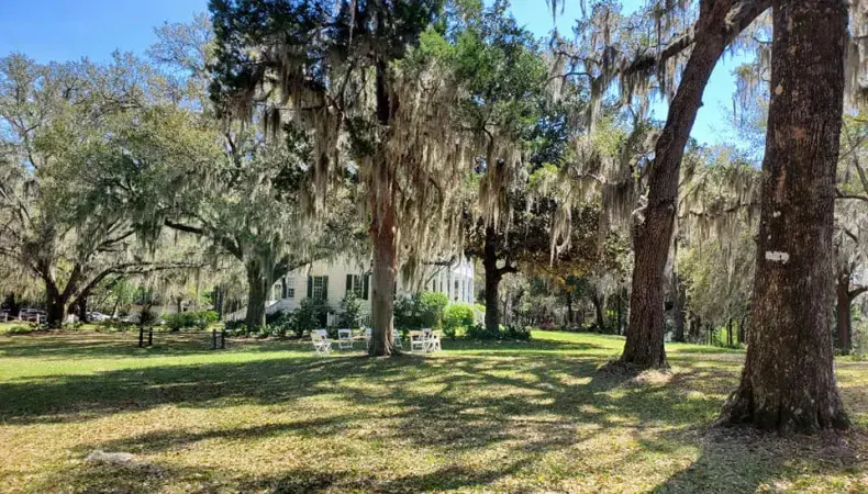 Hopsewee Plantation Photo 2