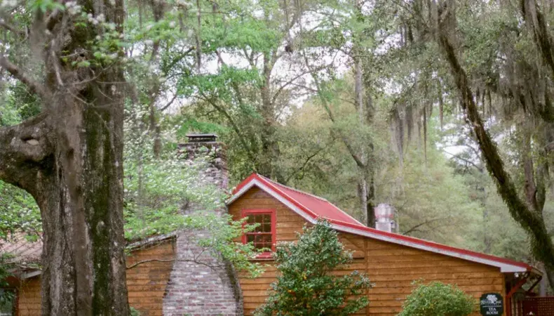 Hopsewee Plantation Photo 4