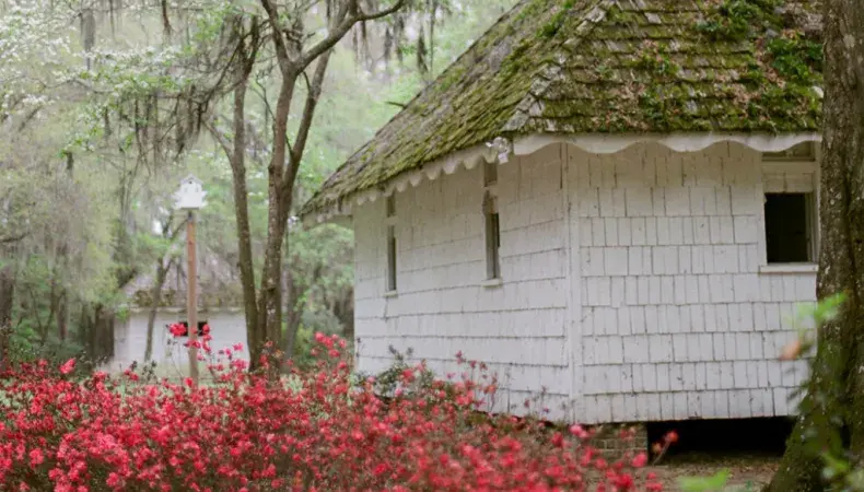 Hopsewee Plantation Photo 5