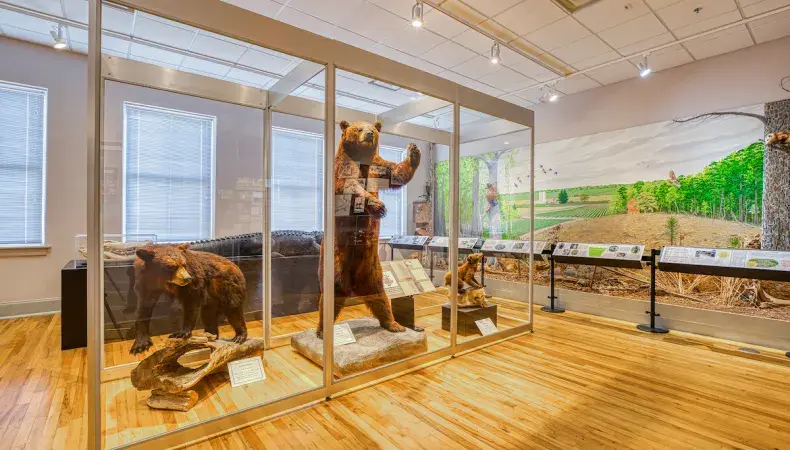 Horry County Museum Photo 5