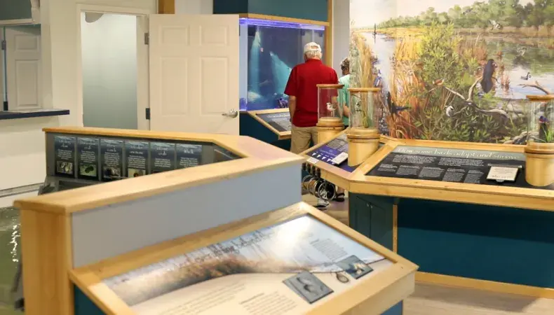 Huntington Beach State Park Photo 2