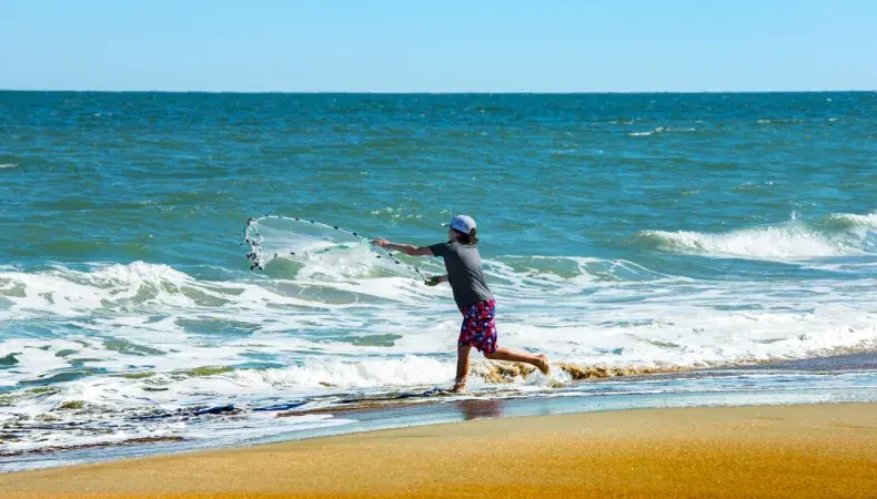 Huntington Beach State Park Photo 5