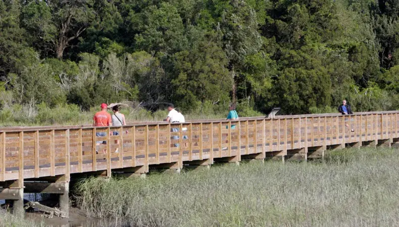 Huntington Beach State Park Photo 3