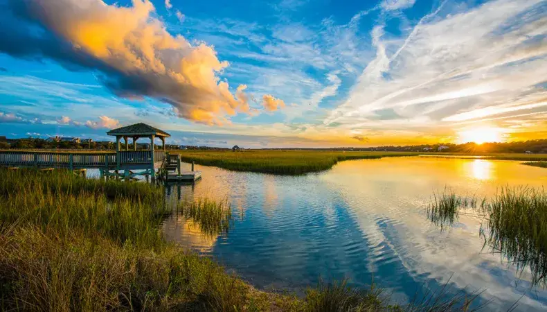Huntington Beach State Park Photo