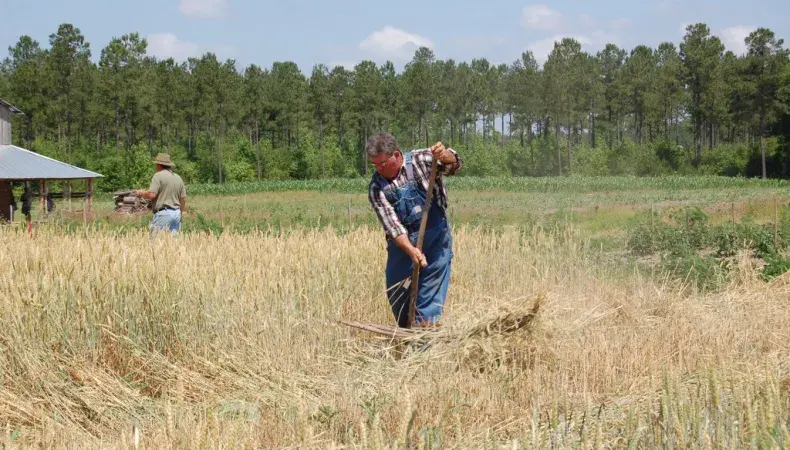 L. W. Paul Living History Farm Photo