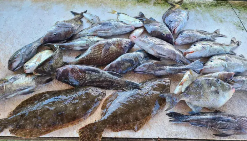 Little River Fishing Fleet Photo 3