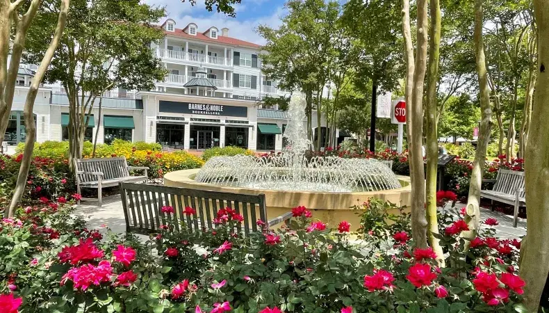 The Market Common Photo