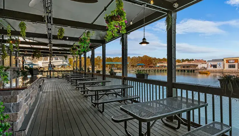 The Grumpy Monk Photo 4