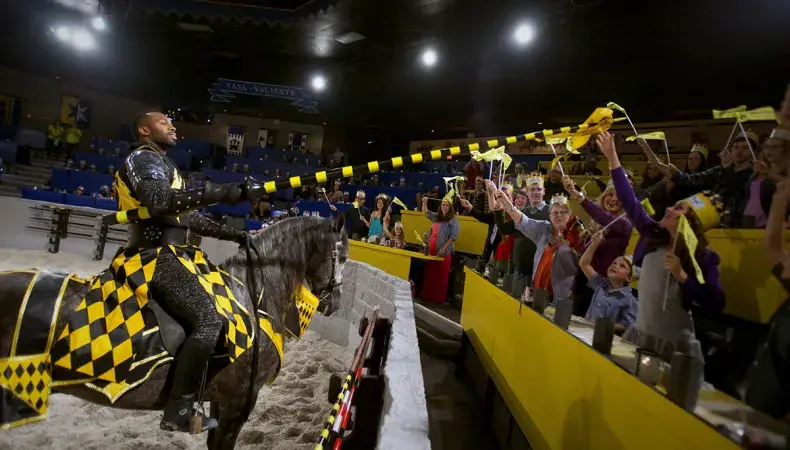 Medieval Times Dinner & Tournament Photo 3