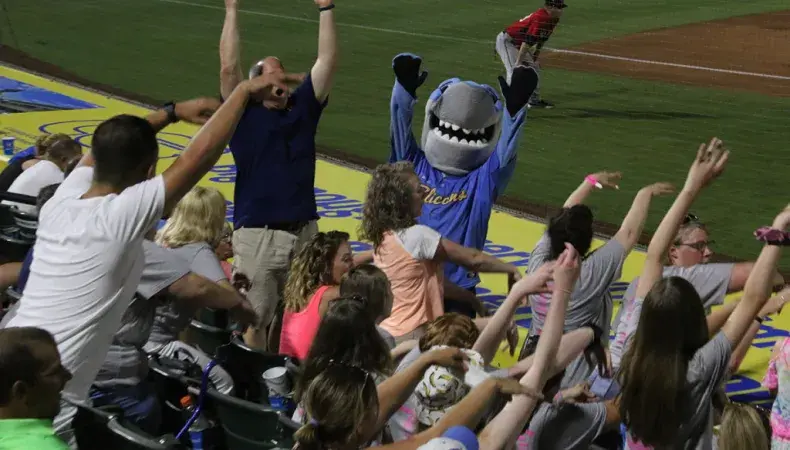 Myrtle Beach Pelicans Photo 5