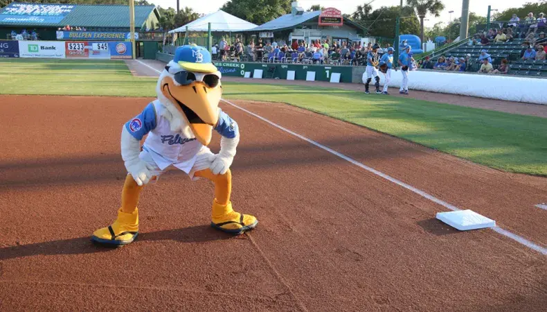 Myrtle Beach Pelicans Photo 2