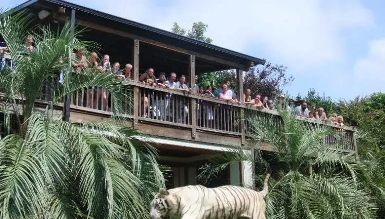 Myrtle Beach Safari Photo