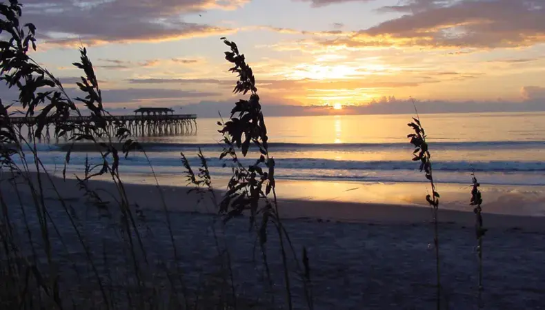 Myrtle Beach State Park Photo