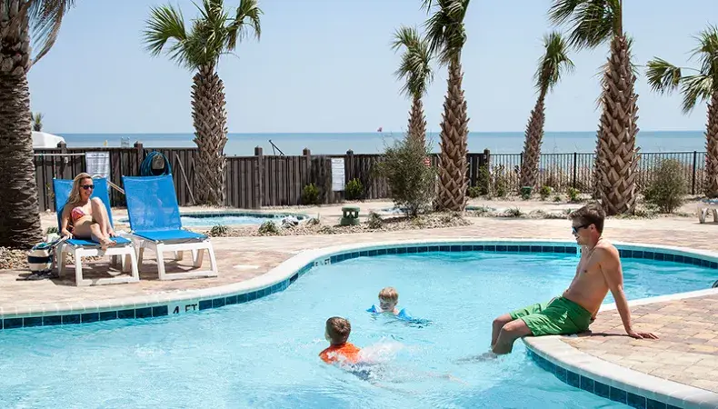 The Palace Resort Photo 3