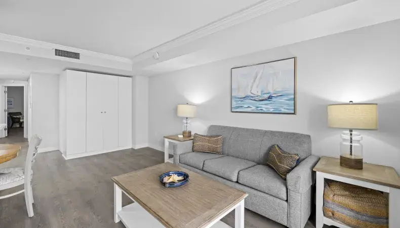 Living room with sleeper sofa Photo 10