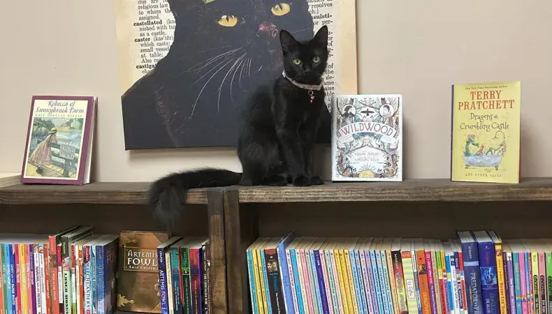 Back Again Bookshop Photo