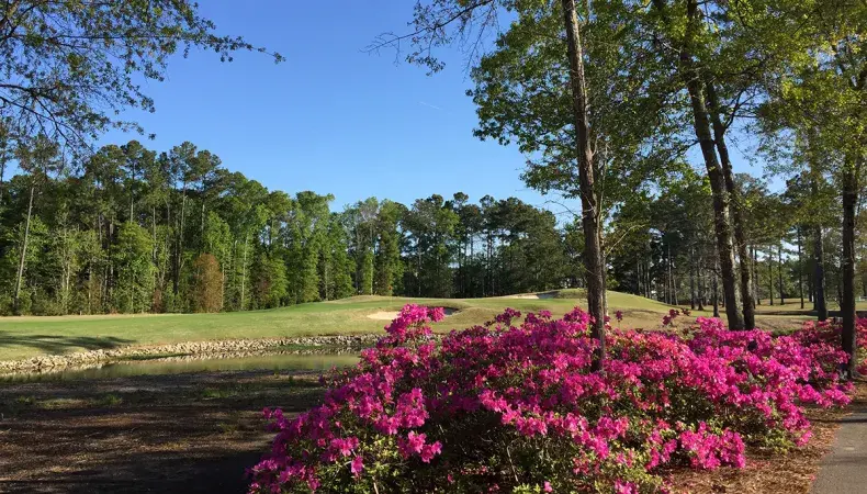 River Oaks Golf Club Photo