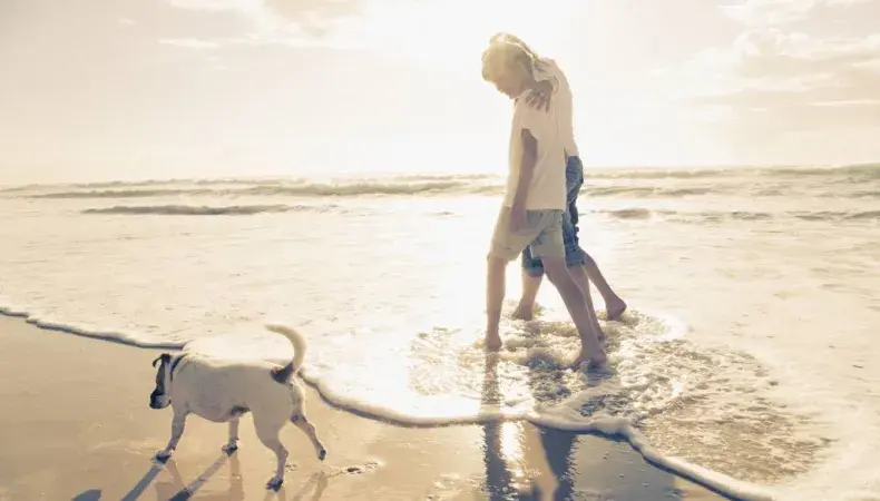 Sea Star Realty Photo 5