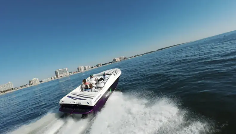 Southern Shores Island & Dolphin Cruises Photo