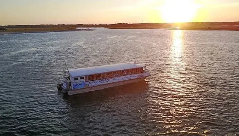 Sunset and Sea Life Photo