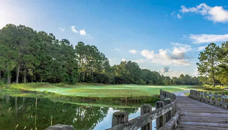 Thistle Golf Club Photo