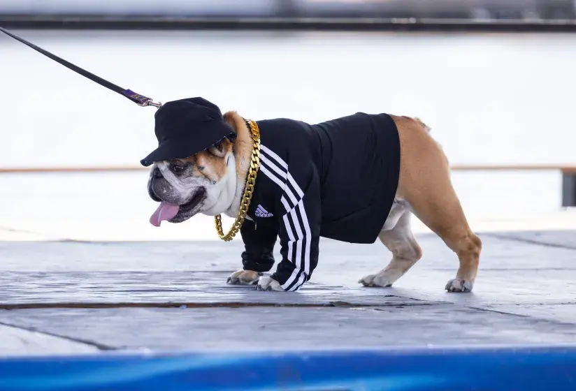 BooFest! at Barefoot Landing Photo