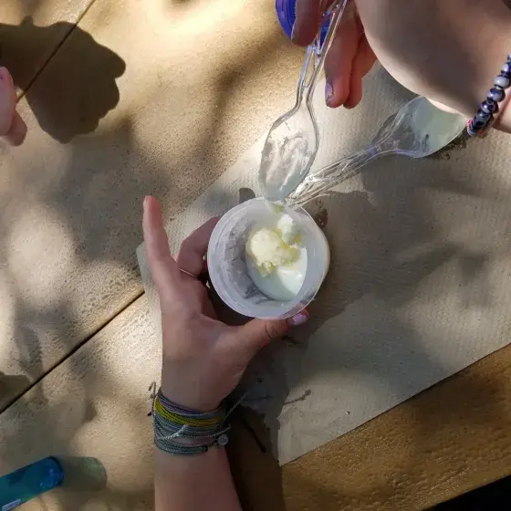 Free Children’s Program at the L.W. Paul Living History Farm Photo