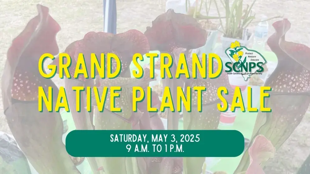 Grand Strand SCNPS Native Plant Sale Photo