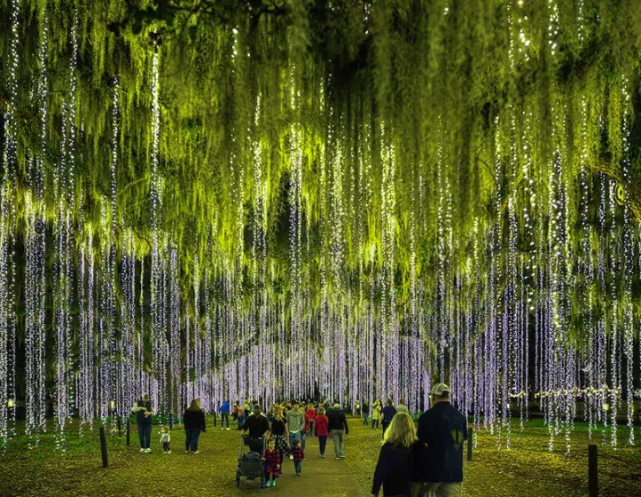 Nights of a Thousand Candles Photo