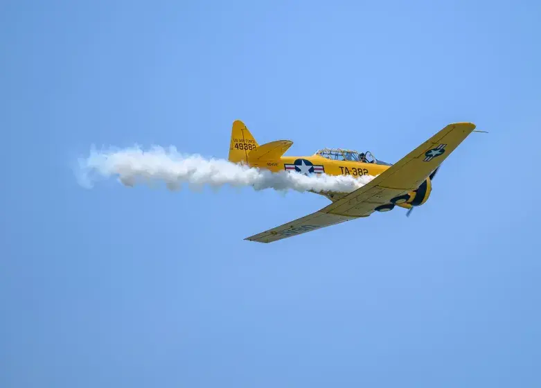 Salute from the Shore Photo
