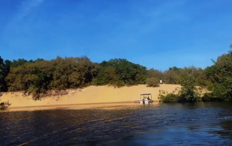Saving Sandy Island Photo
