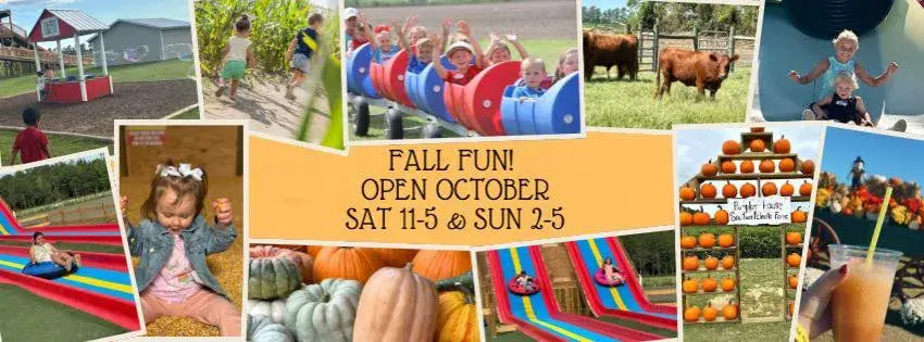 Southern Palmetto Farms Fall Fun Photo