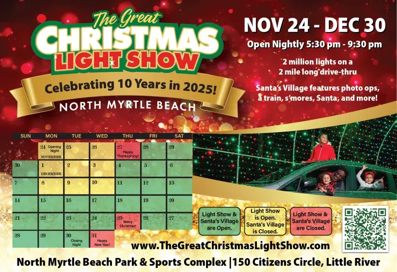 The Great Christmas Light Show Photo