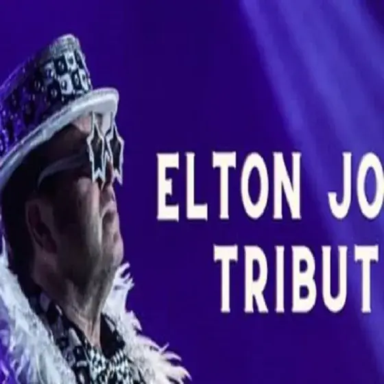 Elton John Tribute Show Photo