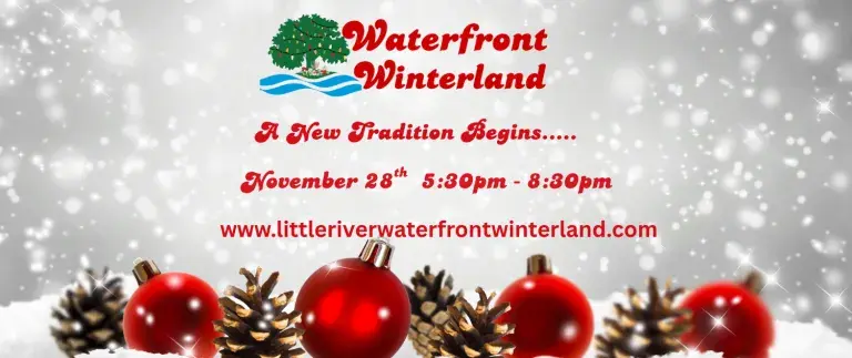 Waterfront Winterland Photo