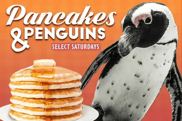 Pancakes & Penguins at Ripley’s Photo