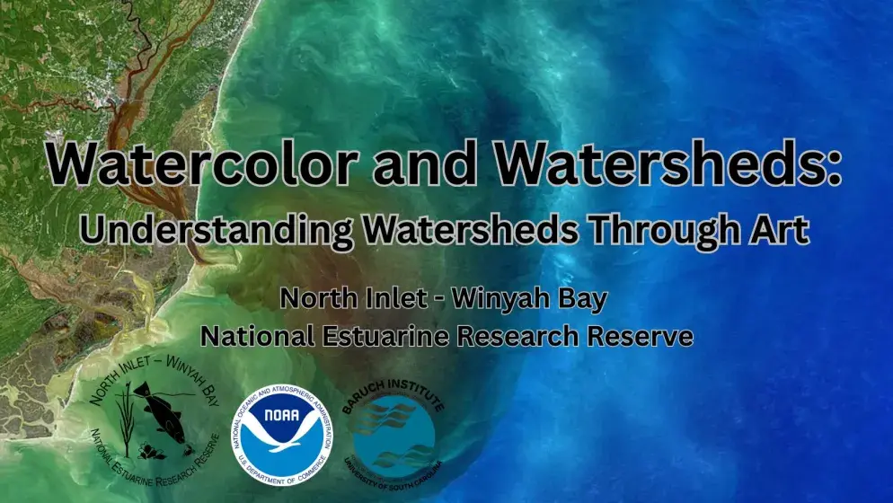 Watercolor and Watersheds: Understanding Watersheds Through Art Photo