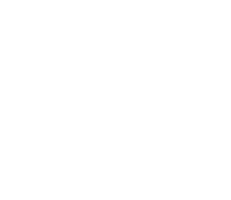 18th Annual Dragon Boat Festival Photo