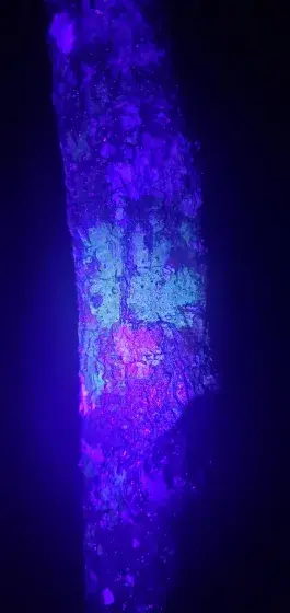 Park After Dark- UV Fun! Photo