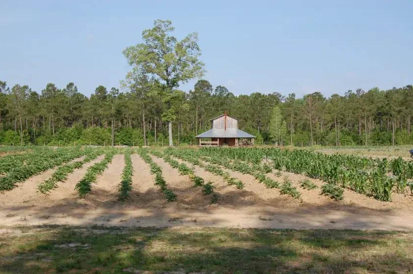 “Spring Planting Day at the L.W. Paul Living History Farm” Photo