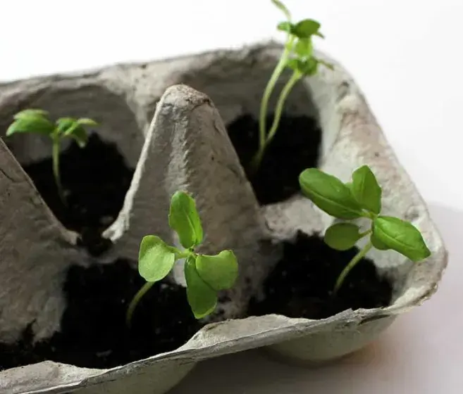 Free Children’s Program at the L.W. Paul Living History Farm Photo