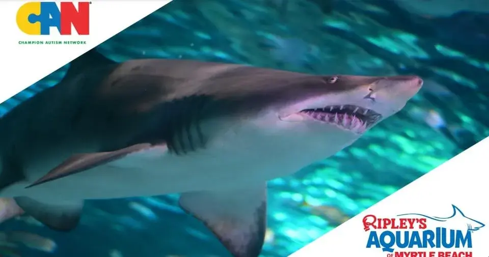 Sensory Event at Ripley's Aquarium in Myrtle Beach Photo