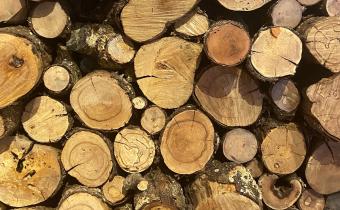 Wood for smokin'